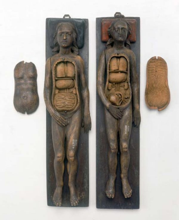 Анатомични медицински модели от 17-и век. Снимка: viralnova.com