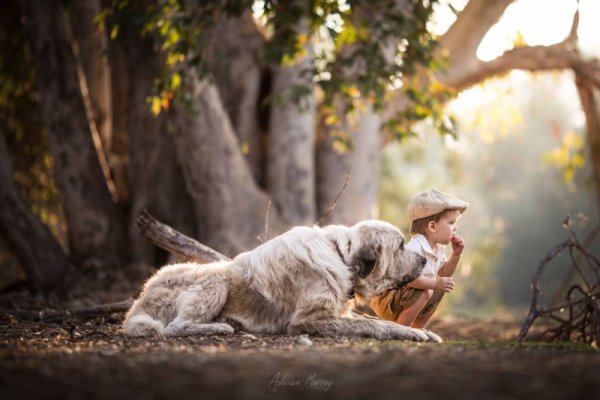 Снимка: Facebook/ Adrian Murray Photography