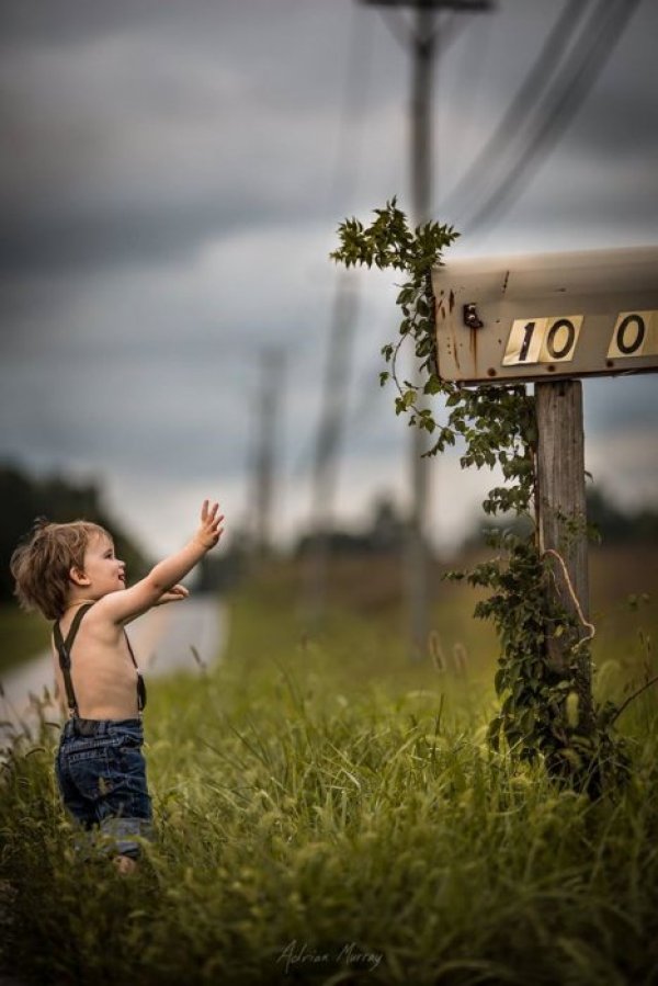 Снимка: Facebook/ Adrian Murray Photography
