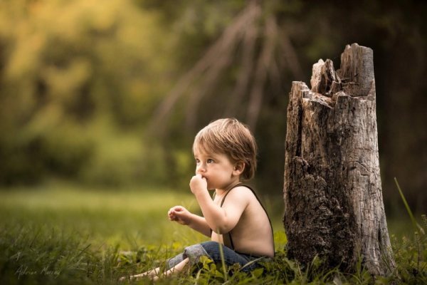 Снимка: Facebook/ Adrian Murray Photography