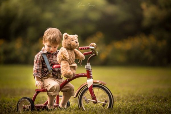 Снимка: Facebook/ Adrian Murray Photography