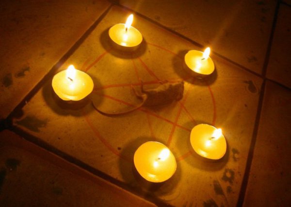 Чест съквартирант на студентите. Снимка: kaifolog