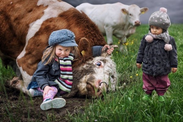 Видно е кой е главният. Снимка: John Wilhelm