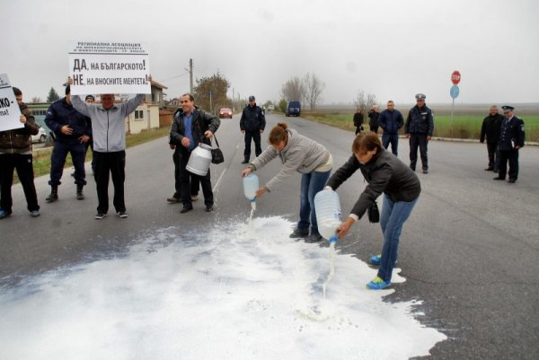 Над 100 млекопроизводители от Ямболска, Сливенска, Старозагорска и Пловдивска област участваха в протест до главния път за граничен пункт Лесово. Млекопроизводителите изляха близо 50 литра мляко в протест на ниските изкупни цени. Снимка: БТА