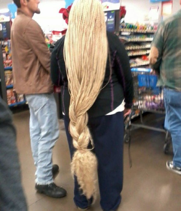 Снимка: kaifolog