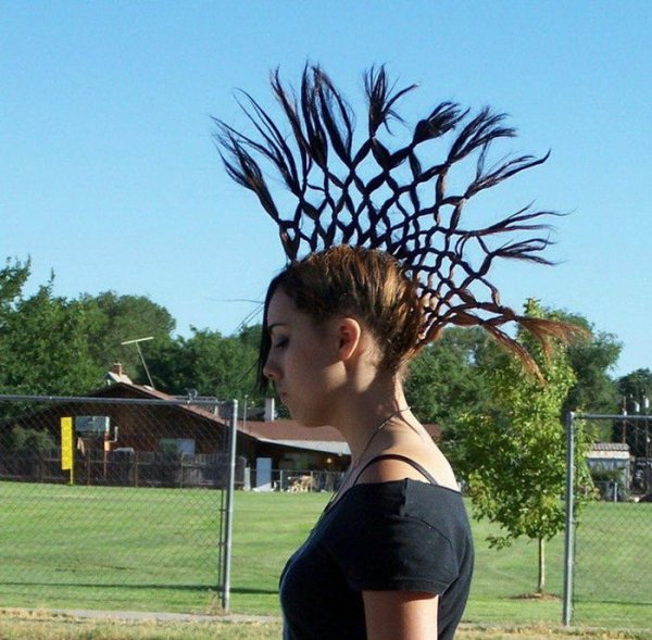 Снимка: kaifolog