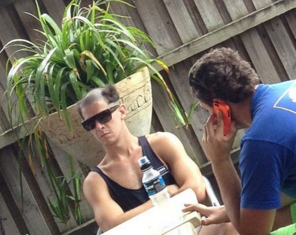 Снимка: kaifolog