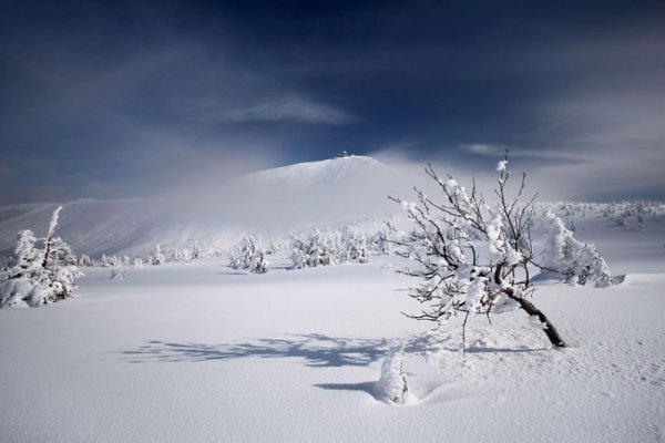 Снимка: Facebook/ Karol Nienartowicz