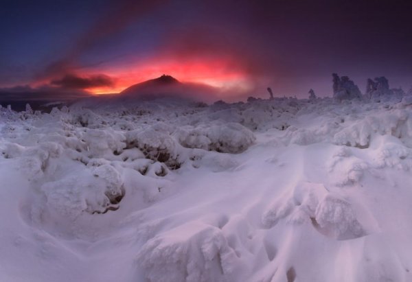 Снимка: Facebook/ Karol Nienartowicz