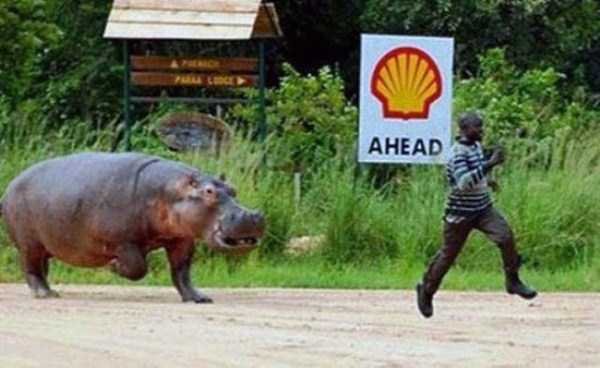 Снимка: klyker.com