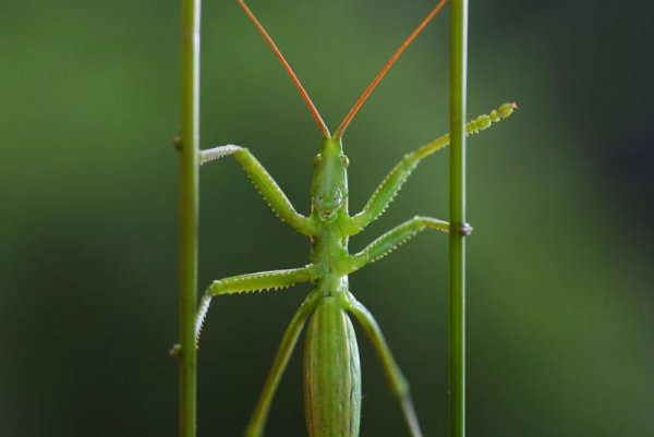 Снимка: Вадим Трунов