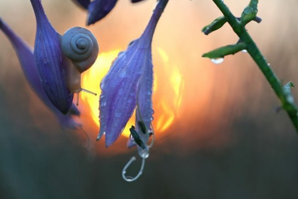 Снимка: Вадим Трунов