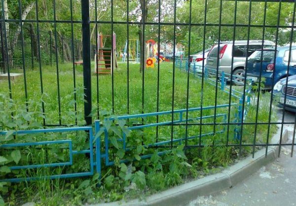 Снимка: sobadsogood
