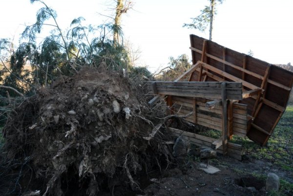 Снимка: Булфото