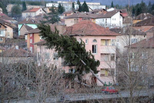 Снимка: Булфото