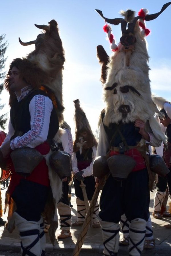 Снимка: БулФото