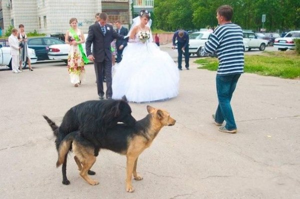 Снимка: ofigenno.cc
