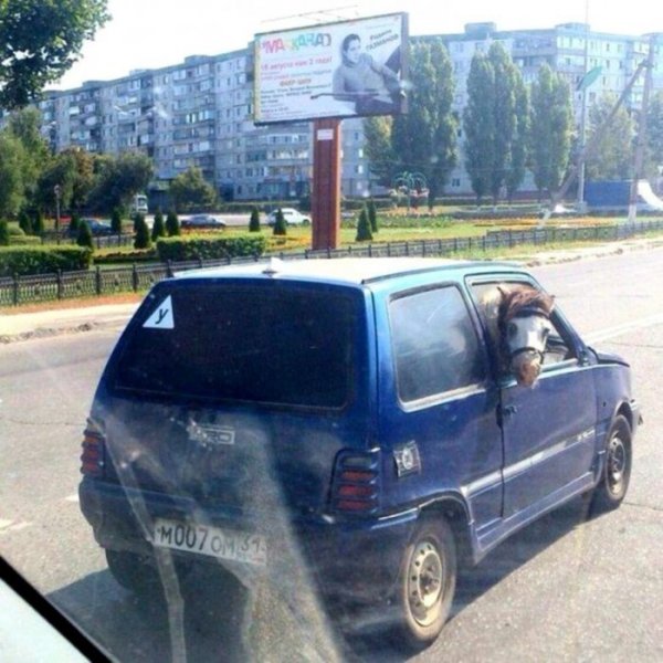 Снимка: pisez.com