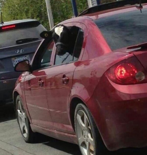 Снимка: pisez.com