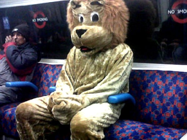 Снимка: sobadsogood