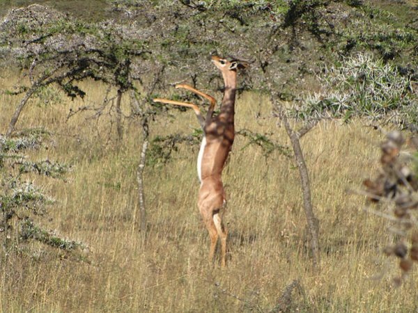 Снимка: AdMe.ru