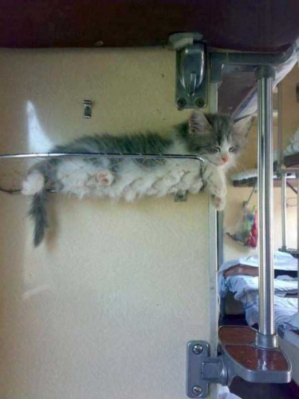 Снимка: klyker.com