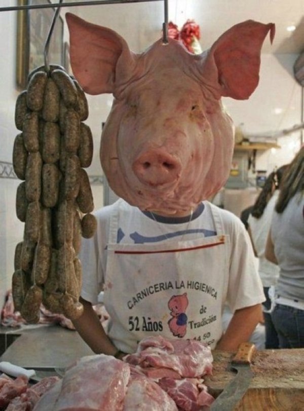 Снимка: ofigenno.cc