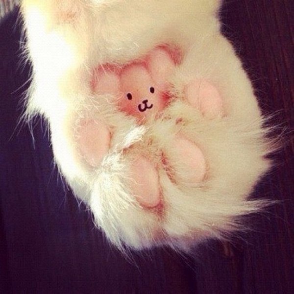 Снимка: ofigenno.cc