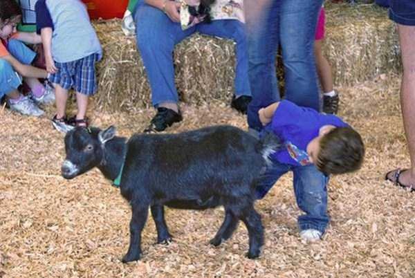 Снимка: klyker.com