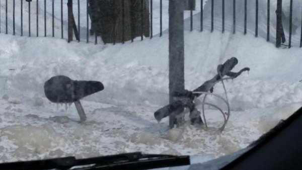 Снимка: Twitter