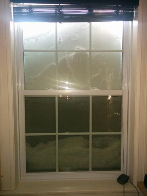 Снимка: Twitter