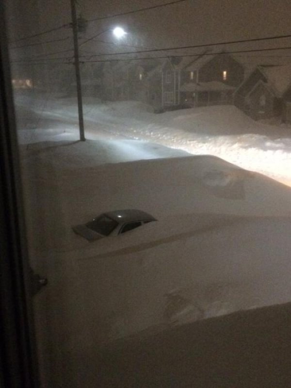 Снимка: Twitter