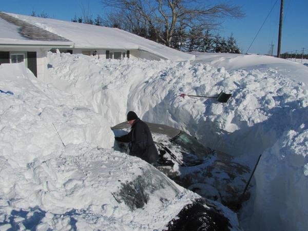 Снимка: Twitter