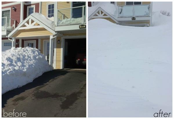 Снимка: Twitter