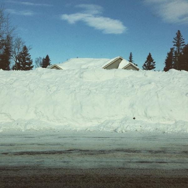 Снимка: Twitter