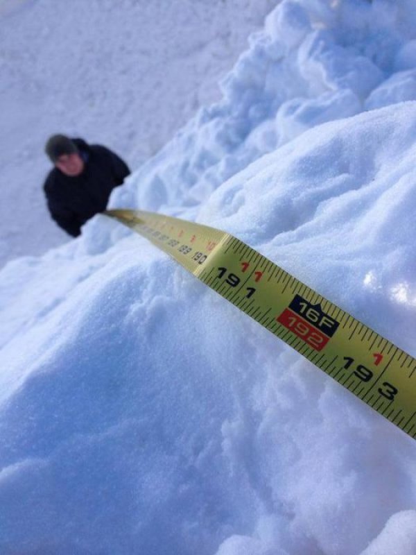 Снимка: Twitter