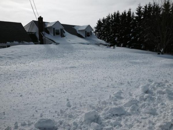 Снимка: Twitter