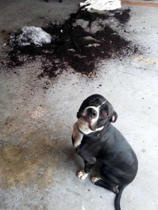 Снимка: klyker.com