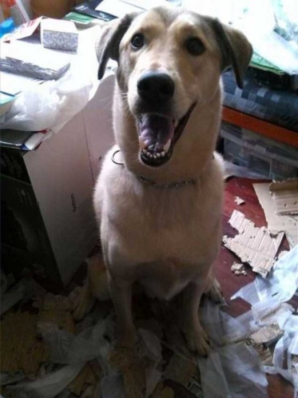 Снимка: klyker.com