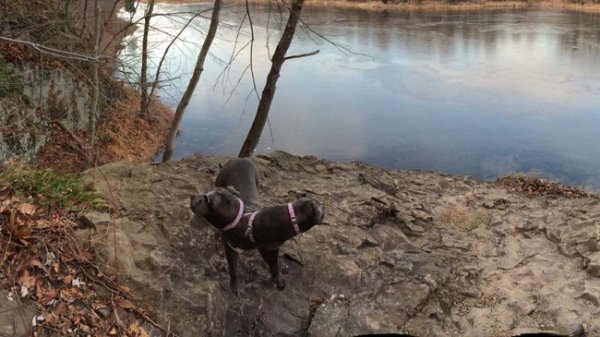 Снимка: reddit