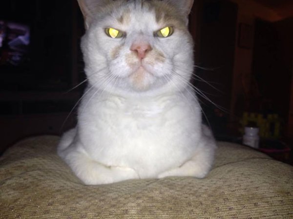 Снимка: Reddit