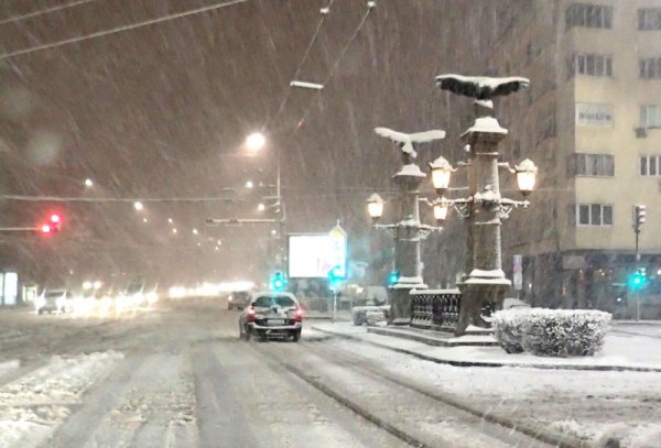 Снимка: БулФото