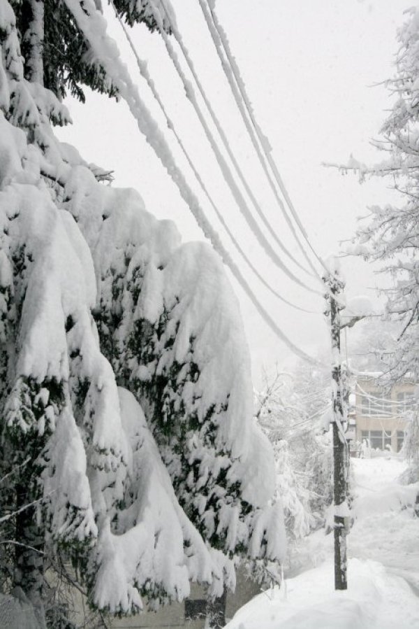 Смолян. Снимка: БТА