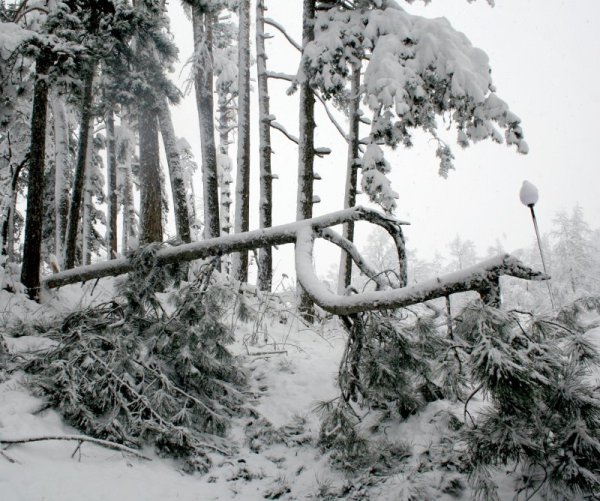 Смолян. Снимка: БТА