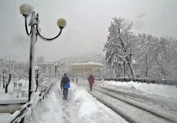 Снимка: Булфото
