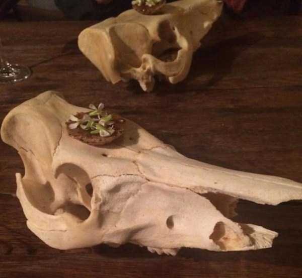 Снимка: klyker.com