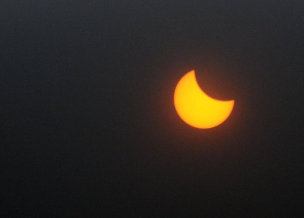 Снимка: Булфото