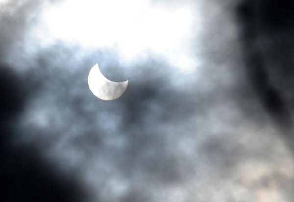 Снимка: Булфото