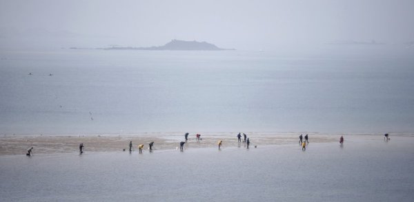 Снимка: Ройтерс