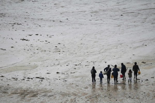 Снимка: Ройтерс